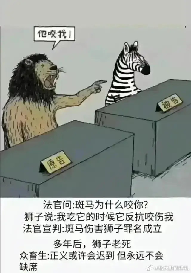 畜牲有腦，拾人牙慧。手執廢柴來堆砌打一正确生肖请全面2释义、解释与落实、综合解答解释落实