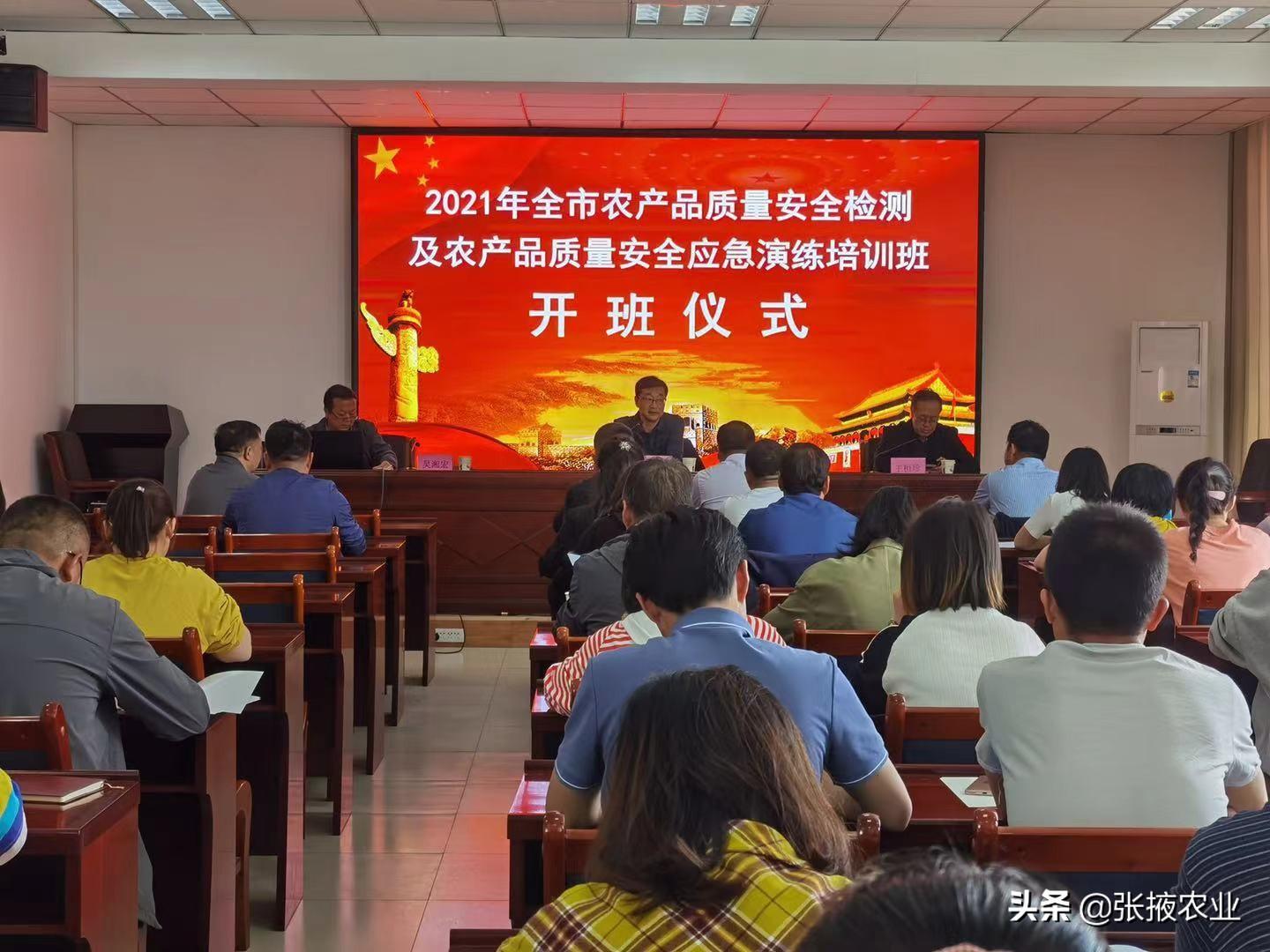 小山俩坐青山绿指什么生肖详细解答、解释与落实、定量解答解释落实