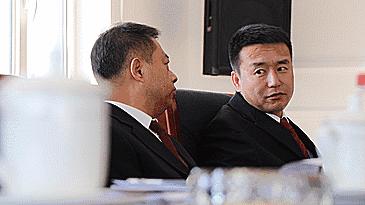 大将凯旋回朝廷总管奉旨传将帅是什么生肖全面释义、深度解答解释落实