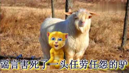 畜牲有腦，拾人牙慧。手執廢柴來堆砌打一正确生肖请全面2释义、解释与落实、综合解答解释落实