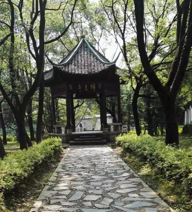虫躲懒,鸟倦飞,相安无事能有几打一生肖,警惕虚假宣传、全面解答、实证解答解释落实