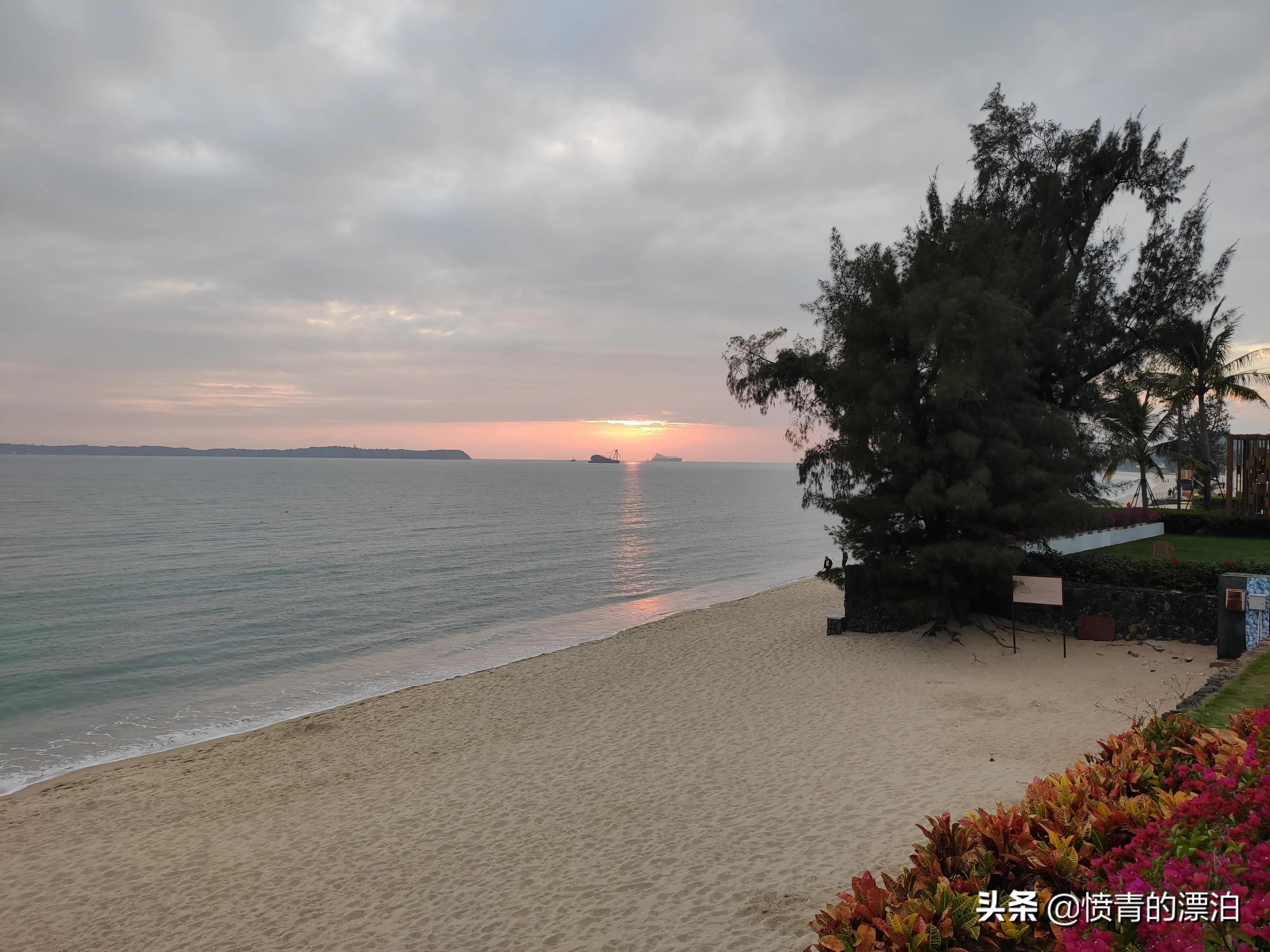 虫躲懒,鸟倦飞,相安无事能有几打一生肖,警惕虚假宣传、全面解答、实证解答解释落实
